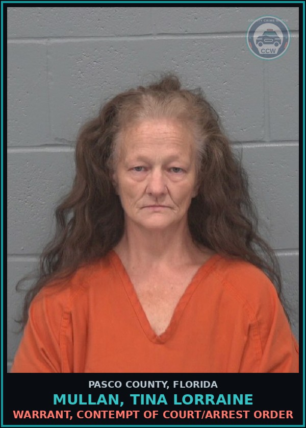 Booking mugshot of MULLAN, TINA LORRAINE in Pasco County