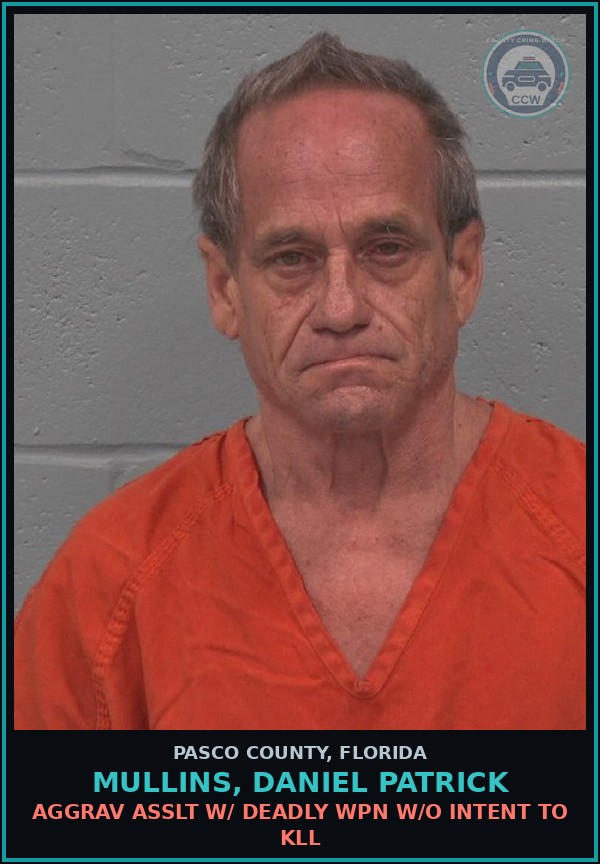 Booking mugshot of MULLINS, DANIEL PATRICK in Pasco County