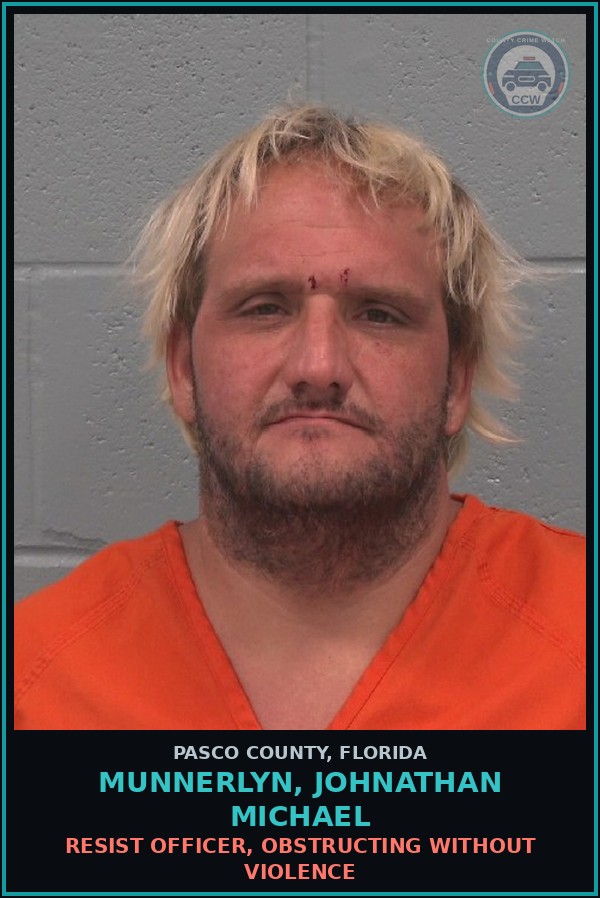 Booking mugshot of MUNNERLYN, JOHNATHAN MICHAEL in Pasco County