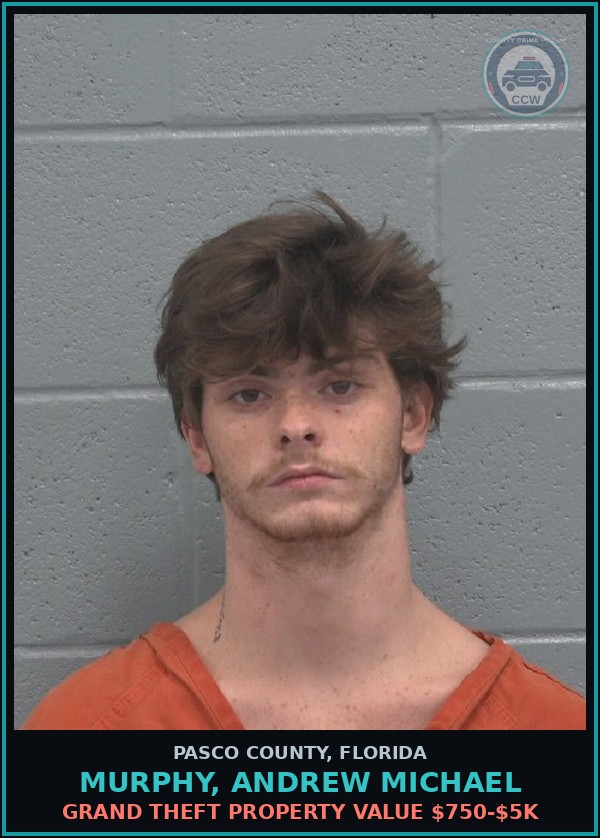 Booking mugshot of MURPHY, ANDREW MICHAEL in Pasco County