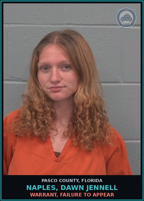 Booking mugshot of NAPLES, DAWN JENNELL in Pasco County