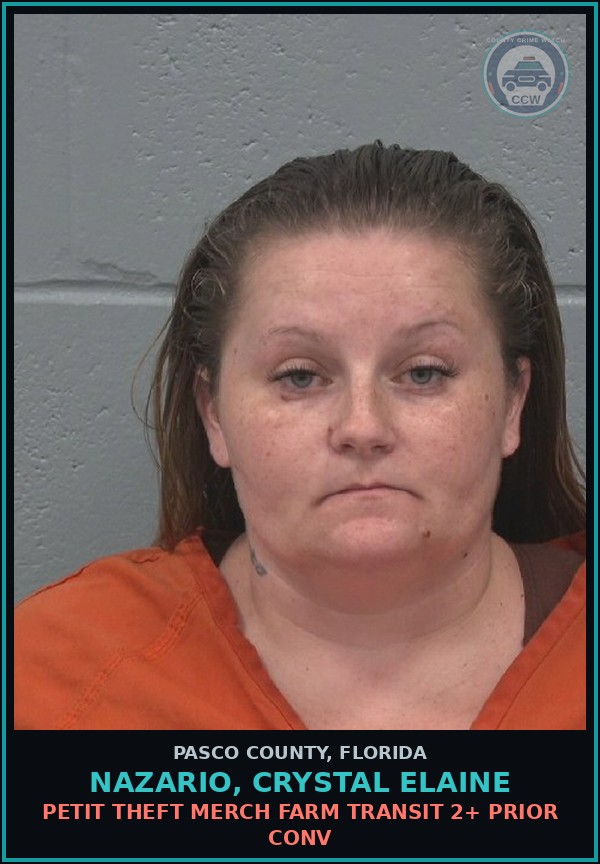 Booking mugshot of NAZARIO, CRYSTAL ELAINE in Pasco County