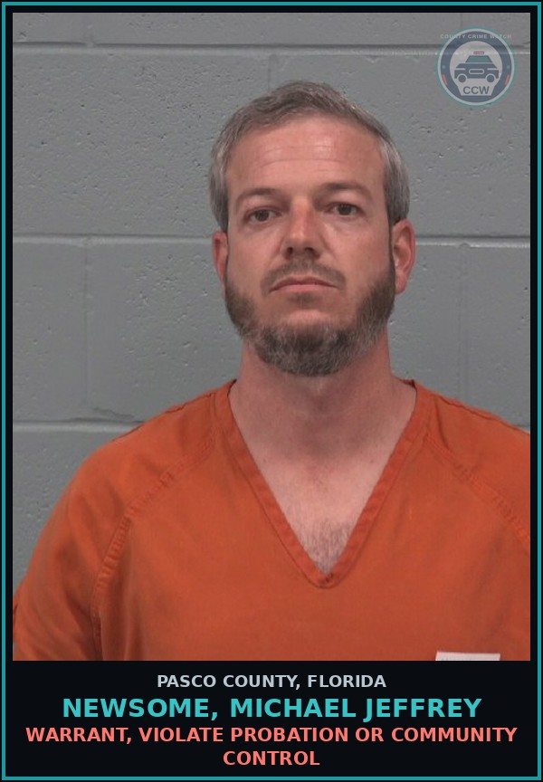 Booking mugshot of NEWSOME, MICHAEL JEFFREY in Pasco County