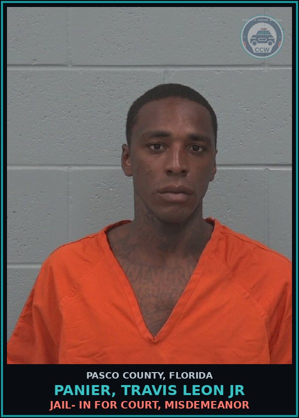 Booking mugshot of PANIER, TRAVIS LEON JR in Pasco County