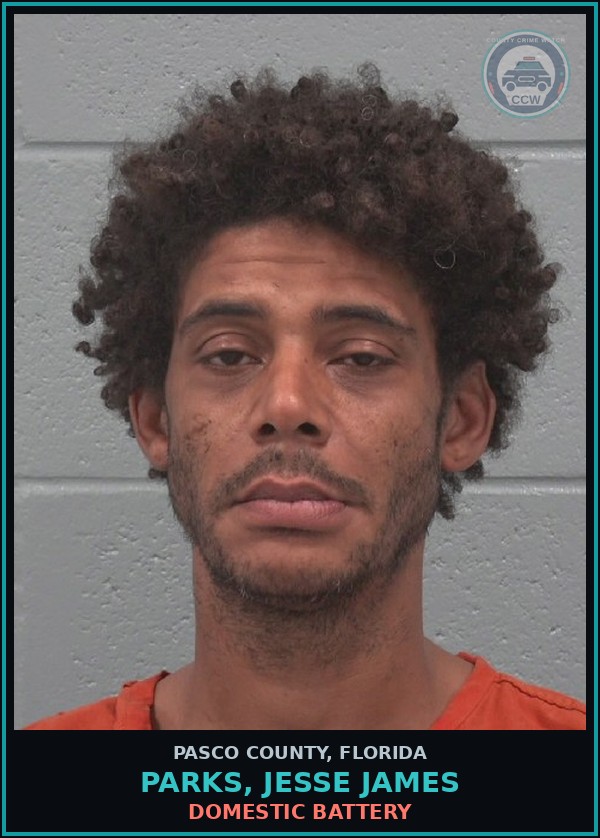 Booking mugshot of PARKS, JESSE JAMES in Pasco County