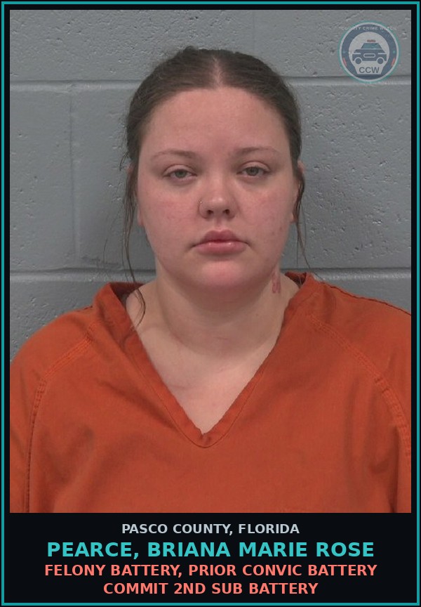Booking mugshot of PEARCE, BRIANA MARIE ROSE in Pasco County