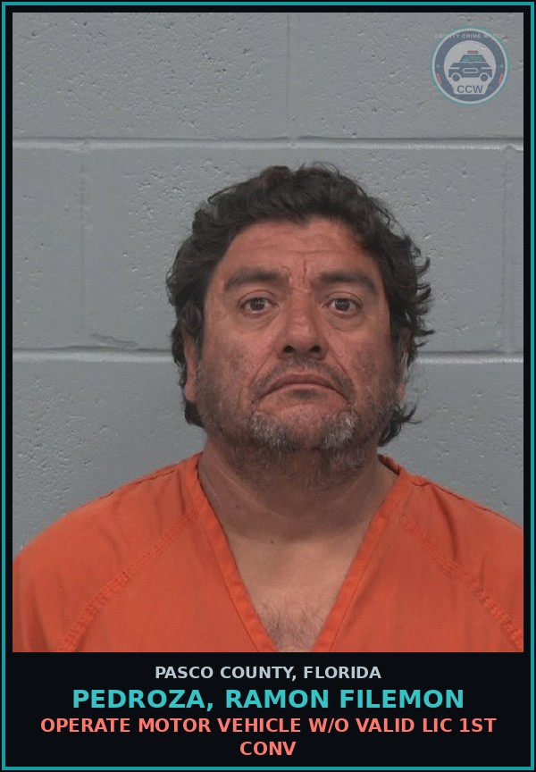 Booking mugshot of PEDROZA, RAMON FILEMON in Pasco County