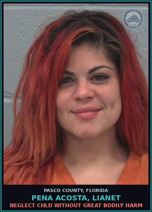 Booking mugshot of PENA ACOSTA, LIANET in Pasco County