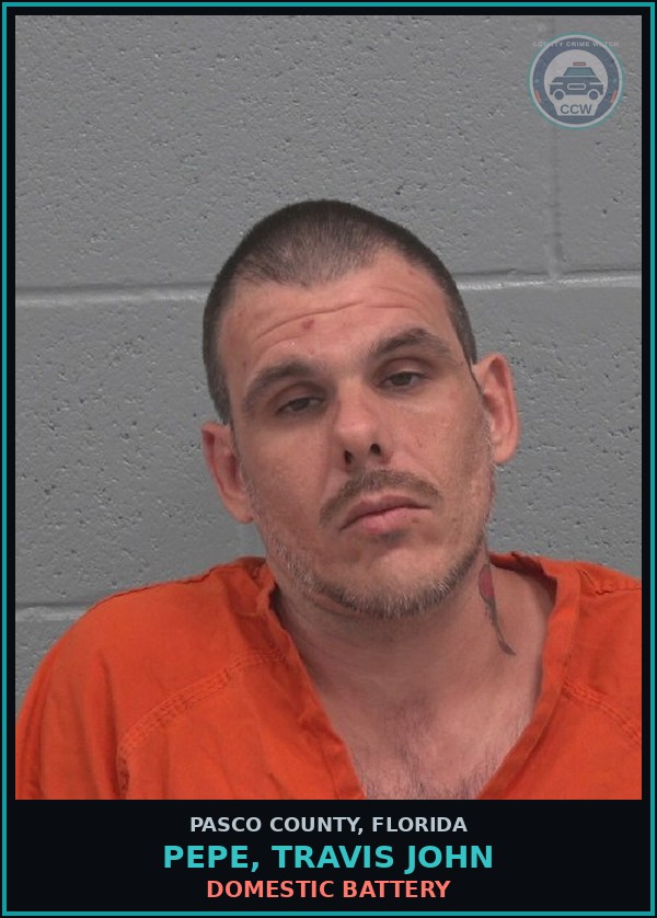 Booking mugshot of PEPE, TRAVIS JOHN in Pasco County