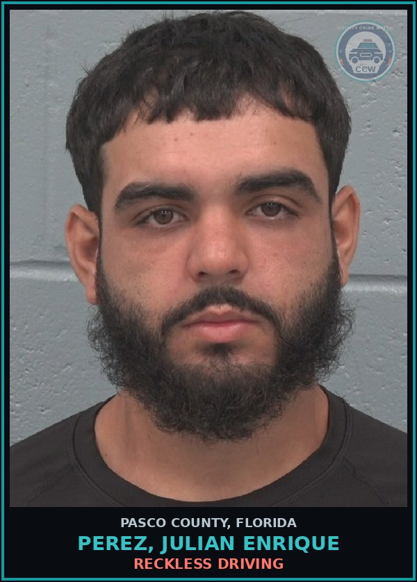 Booking mugshot of PEREZ, JULIAN ENRIQUE in Pasco County
