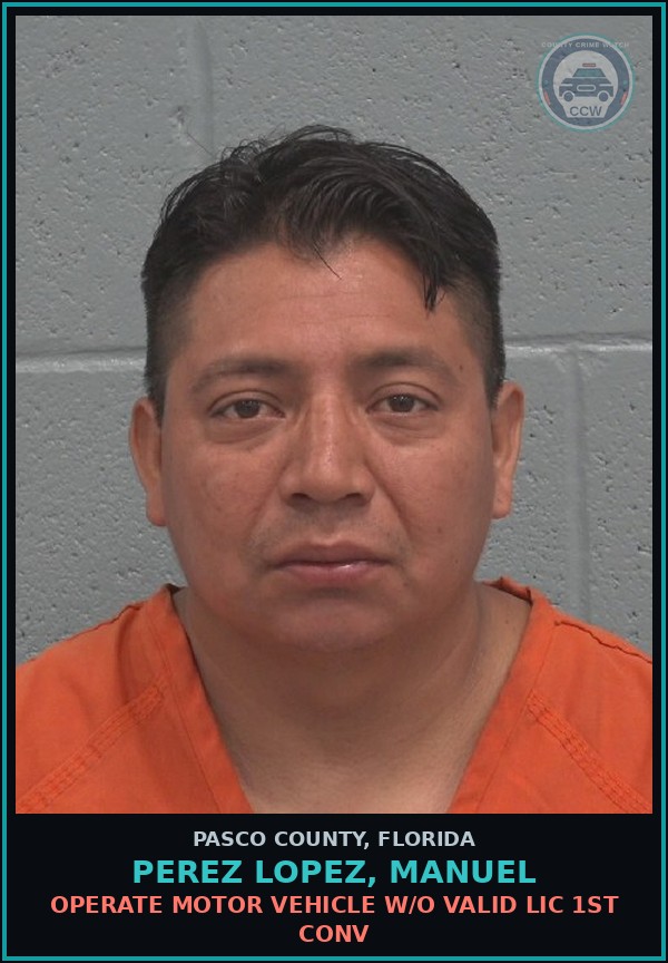 Booking mugshot of PEREZ LOPEZ, MANUEL in Pasco County