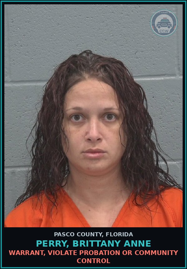 Booking mugshot of PERRY, BRITTANY ANNE in Pasco County