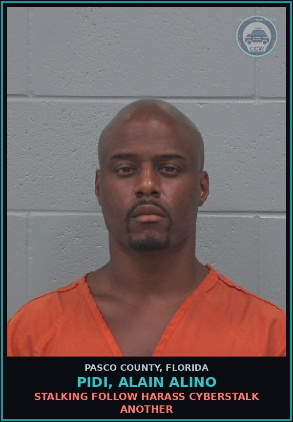 Booking mugshot of PIDI, ALAIN ALINO in Pasco County