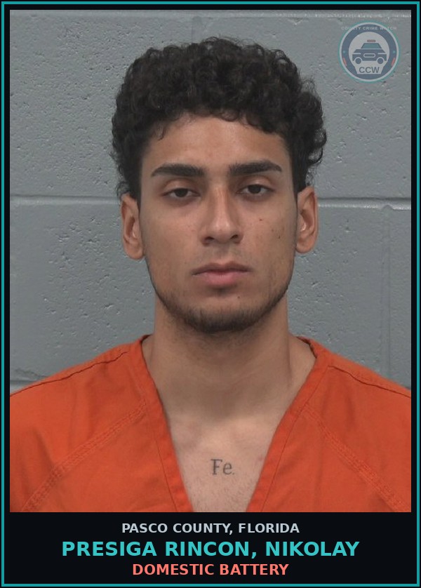 Booking mugshot of PRESIGA RINCON, NIKOLAY in Pasco County