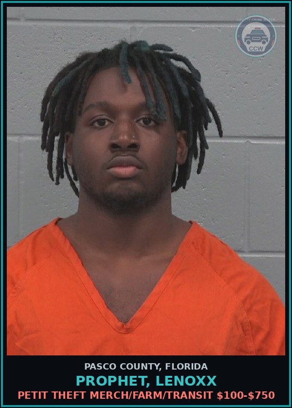Booking mugshot of PROPHET, LENOXX in Pasco County