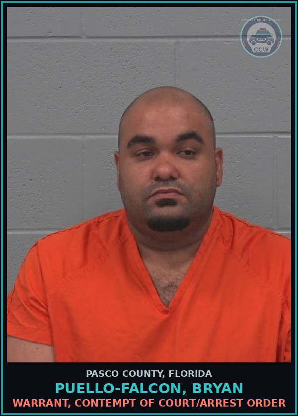 Booking mugshot of PUELLO-FALCON, BRYAN in Pasco County