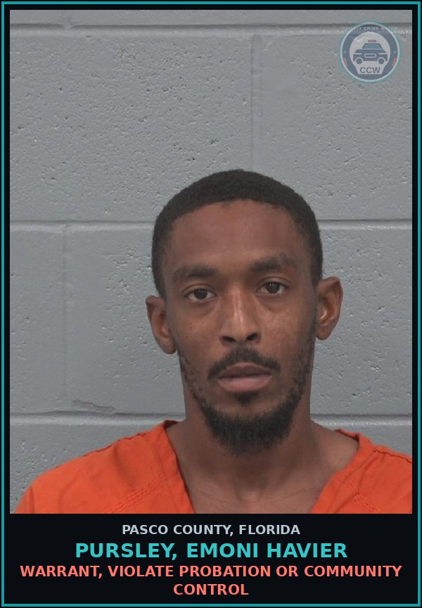 Booking mugshot of PURSLEY, EMONI HAVIER in Pasco County