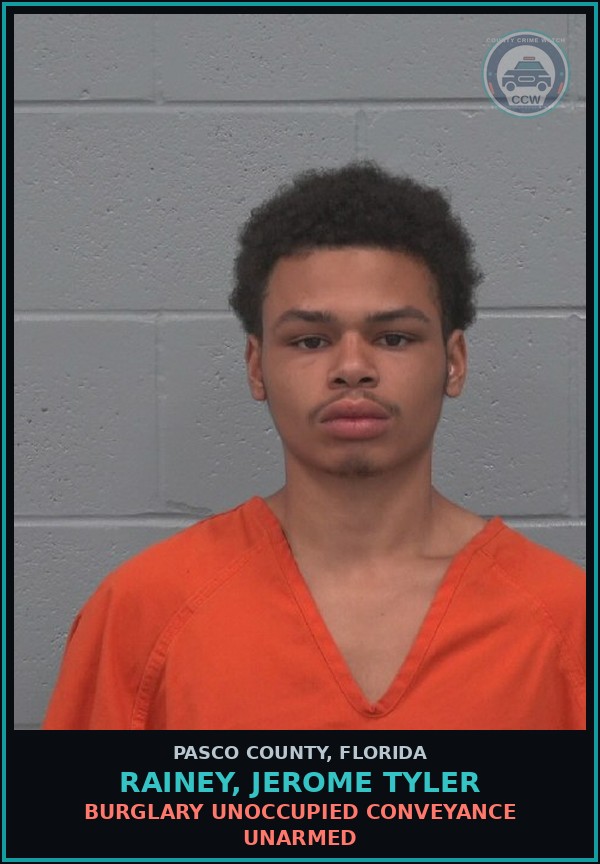 Booking mugshot of RAINEY, JEROME TYLER in Pasco County