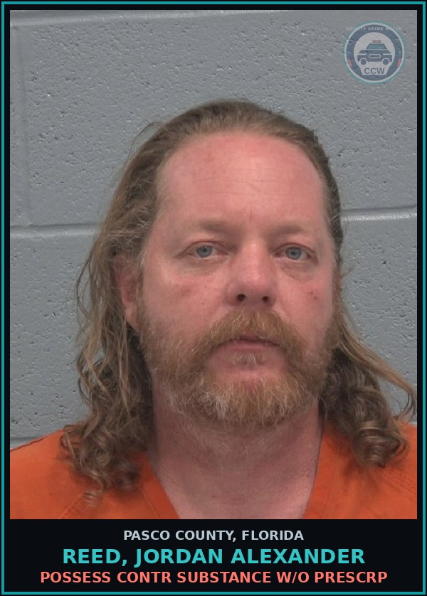 Booking mugshot of REED, JORDAN ALEXANDER in Pasco County