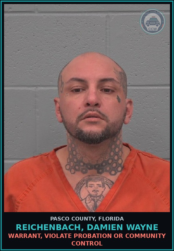 Booking mugshot of REICHENBACH, DAMIEN WAYNE in Pasco County