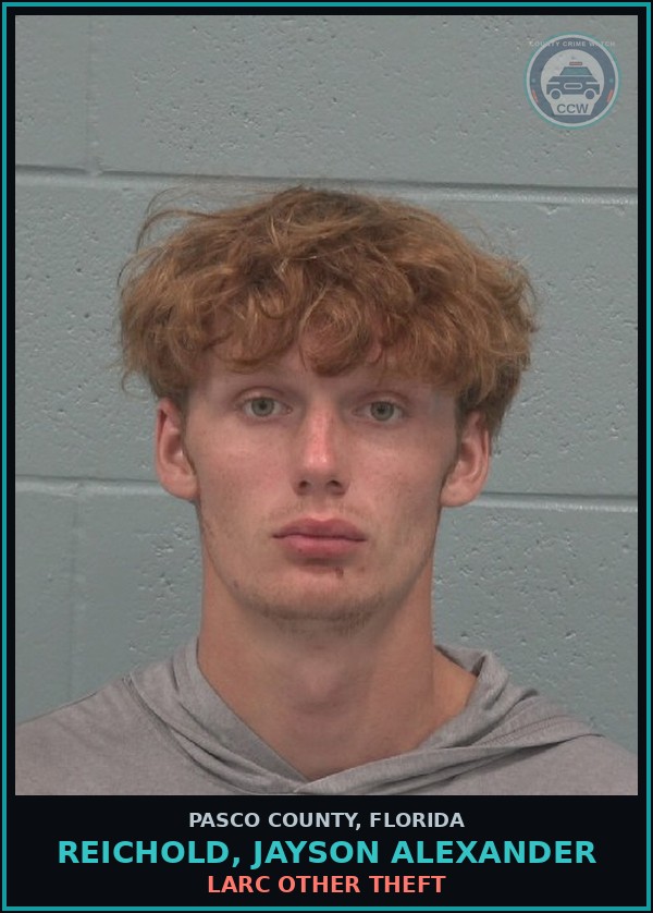 Booking mugshot of REICHOLD, JAYSON ALEXANDER in Pasco County