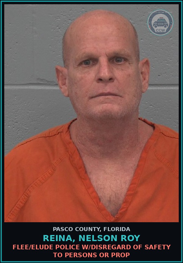 Booking mugshot of REINA, NELSON ROY in Pasco County