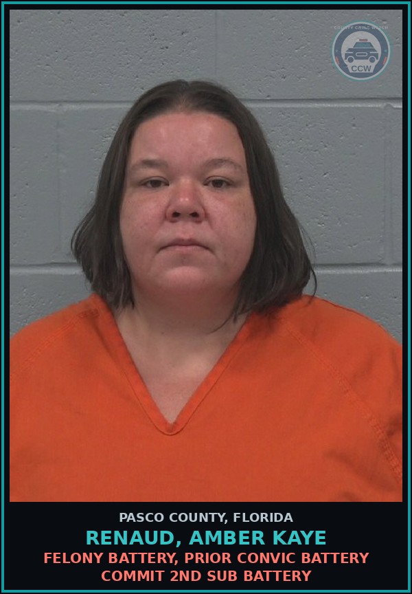 Booking mugshot of RENAUD, AMBER KAYE in Pasco County