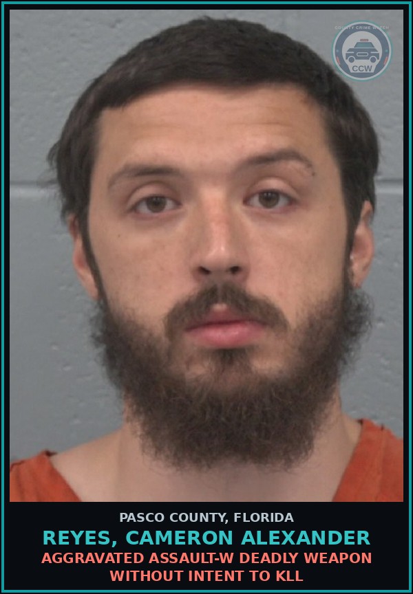 Booking mugshot of REYES, CAMERON ALEXANDER in Pasco County