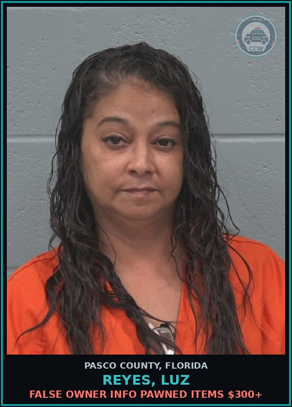 Booking mugshot of REYES, LUZ in Pasco County