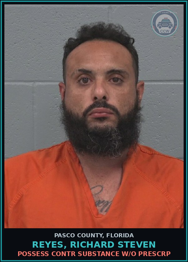 Booking mugshot of REYES, RICHARD STEVEN in Pasco County