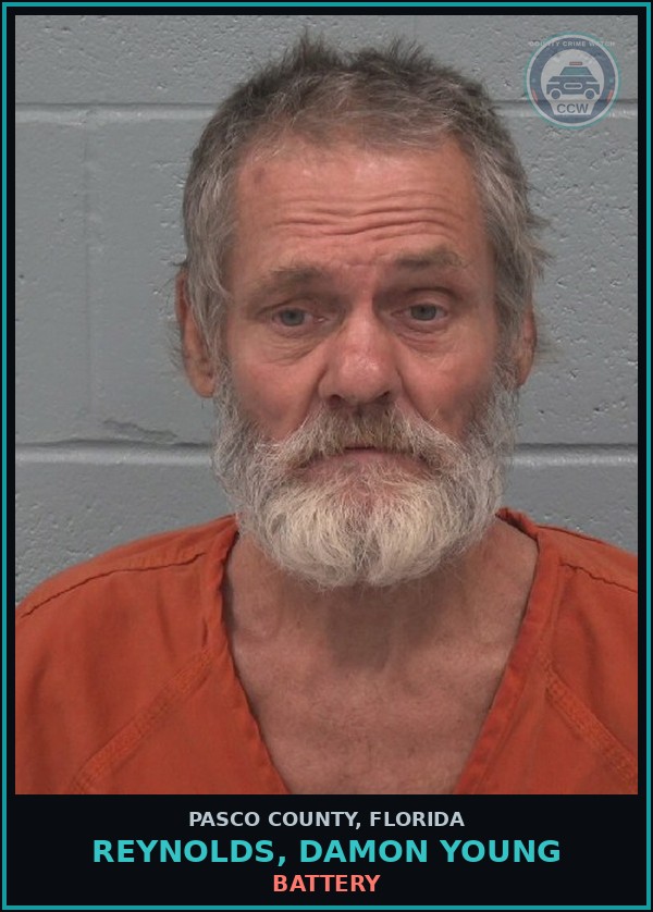 Booking mugshot of REYNOLDS, DAMON YOUNG in Pasco County
