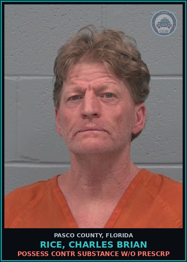 Booking mugshot of RICE, CHARLES BRIAN in Pasco County