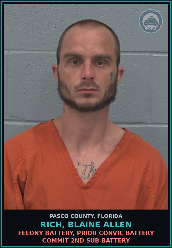 Booking mugshot of RICH, BLAINE ALLEN in Pasco County