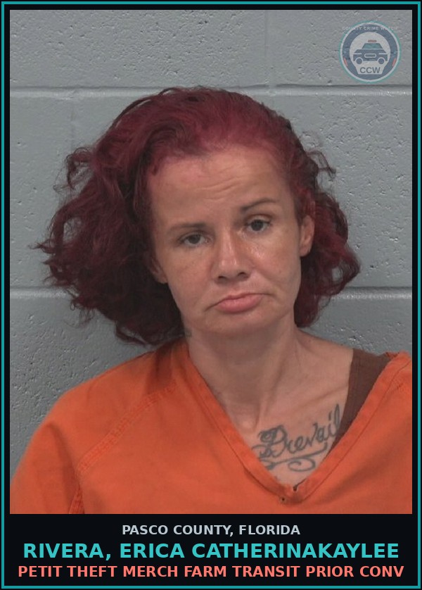 Booking mugshot of RIVERA, ERICA CATHERINAKAYLEE in Pasco County