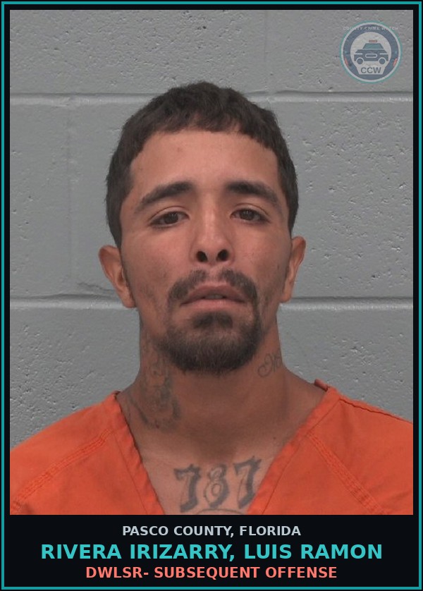 Booking mugshot of RIVERA IRIZARRY, LUIS RAMON in Pasco County