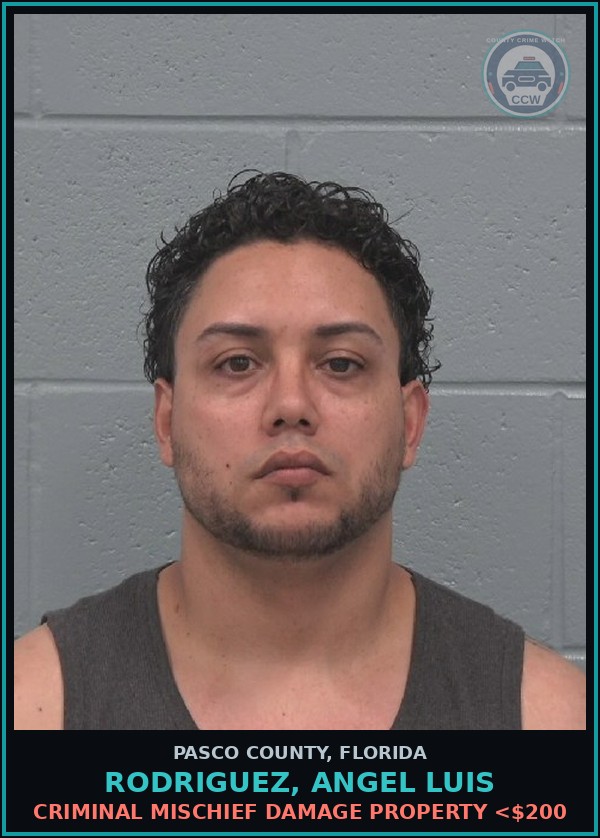 Booking mugshot of RODRIGUEZ, ANGEL LUIS in Pasco County