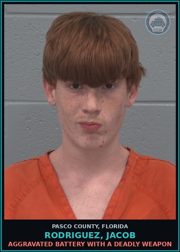 Booking mugshot of RODRIGUEZ, JACOB in Pasco County