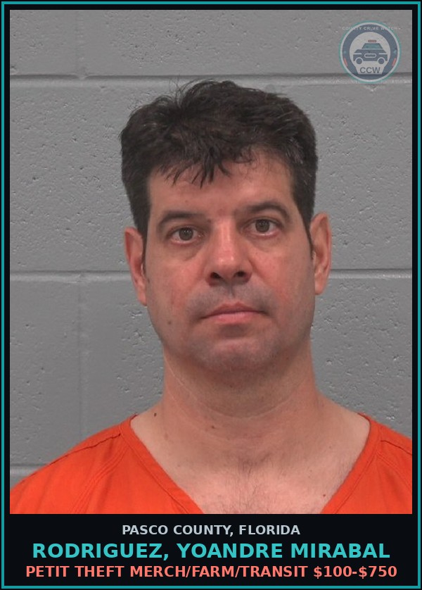 Booking mugshot of RODRIGUEZ, YOANDRE MIRABAL in Pasco County