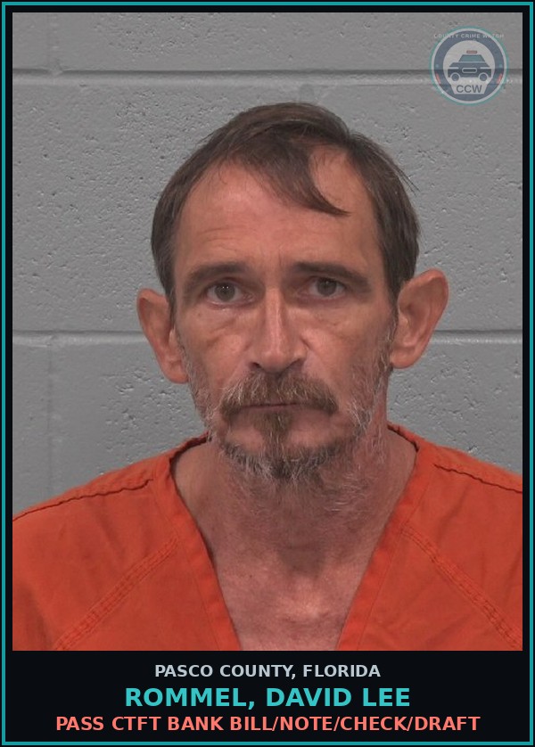 Booking mugshot of ROMMEL, DAVID LEE in Pasco County