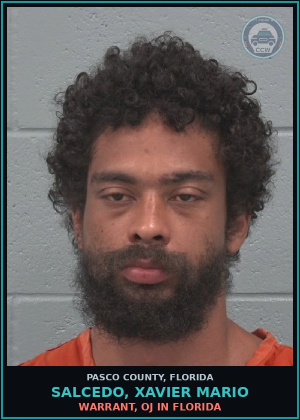 Booking mugshot of SALCEDO, XAVIER MARIO in Pasco County