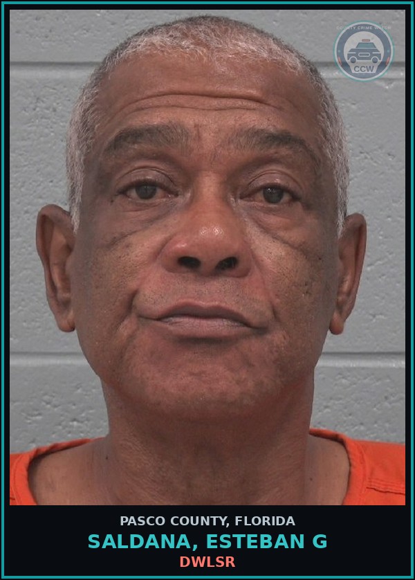 Booking mugshot of SALDANA, ESTEBAN G in Pasco County