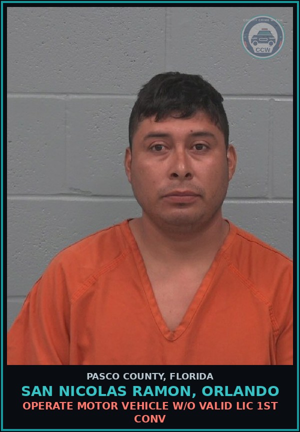 Booking mugshot of SAN NICOLAS RAMON, ORLANDO in Pasco County