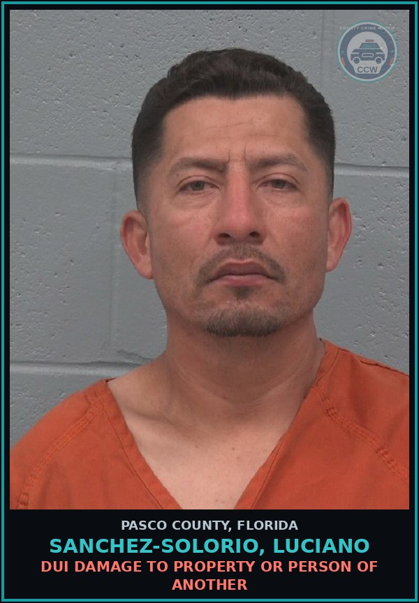 Booking mugshot of SANCHEZ-SOLORIO, LUCIANO in Pasco County