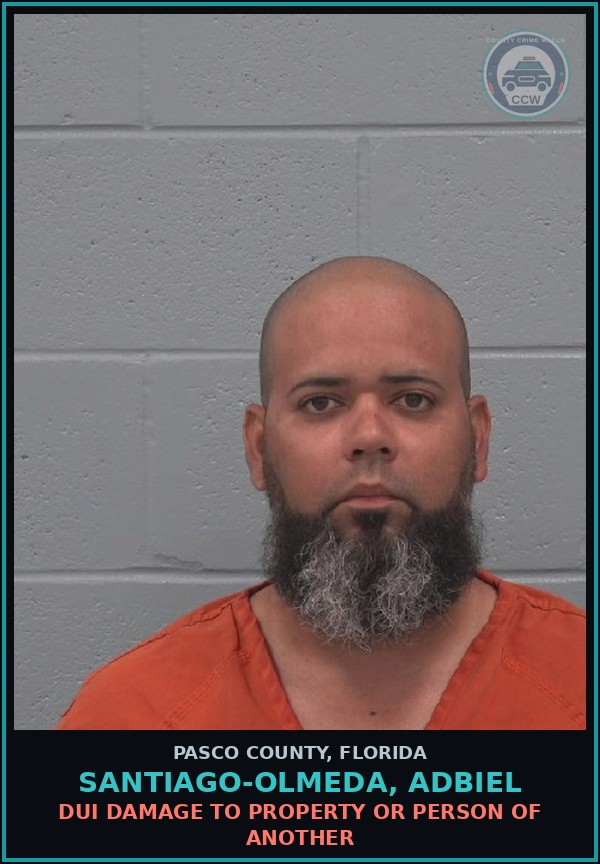 Booking mugshot of SANTIAGO-OLMEDA, ADBIEL in Pasco County
