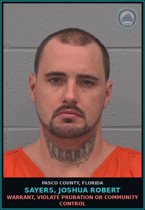 Booking mugshot of SAYERS, JOSHUA ROBERT in Pasco County