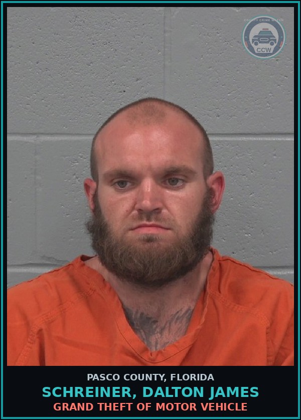 Booking mugshot of SCHREINER, DALTON JAMES in Pasco County