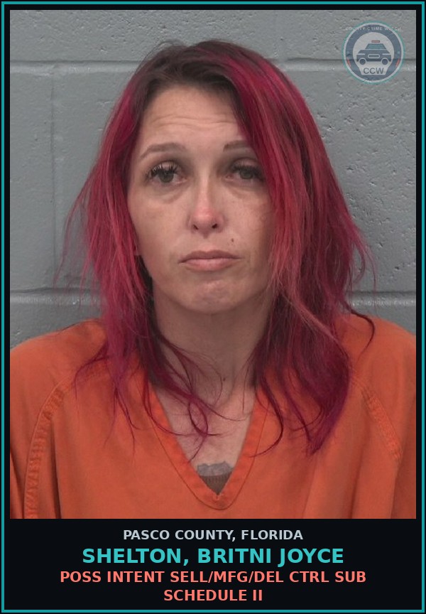 Booking mugshot of SHELTON, BRITNI JOYCE in Pasco County