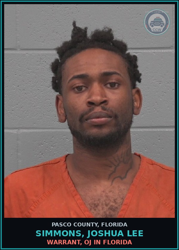 Booking mugshot of SIMMONS, JOSHUA LEE in Pasco County
