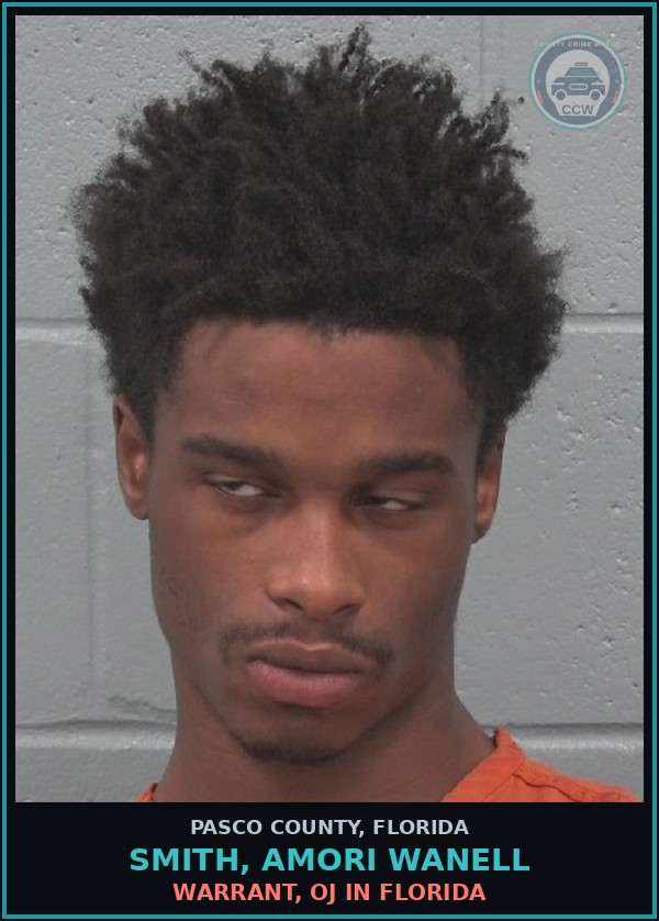 Booking mugshot of SMITH, AMORI WANELL in Pasco County