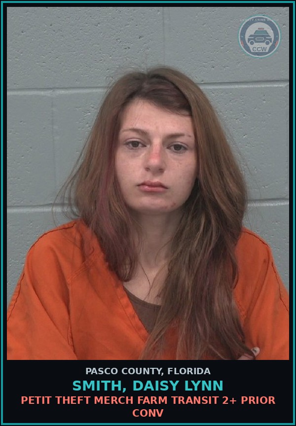 Booking mugshot of SMITH, DAISY LYNN in Pasco County